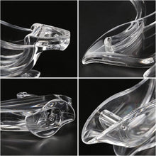 Laden Sie das Bild in den Galerie-Viewer, Acryl Citrus Schwan Presse